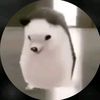 jackshi_90