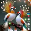 vu.quach78