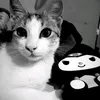anibatmann