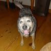 sherry_simpson1776