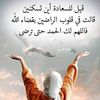 user3614361620581