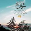 moh.ali719