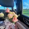 .geniflor