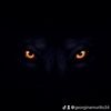georginamurillo34