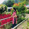 asmi.basnet52