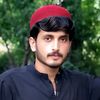 najeeb.saqii