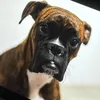lady_boxer_