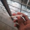 itz.rakib541