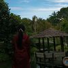 alni73