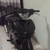 indo_lc.v1