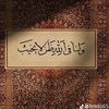 user7384152781625