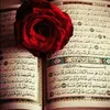 user1594093722613