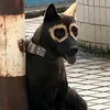chuabietcdb