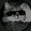 sunba3m_