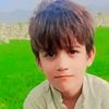 the__cricket_