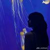 just123cicak1