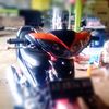 stayhalalbrother1453