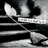 nor.ahmed03