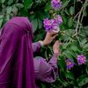 farjana3738