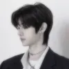 wonwon_crossx