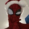 spidershop100