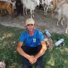 ion.neamu