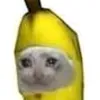adddfncnn