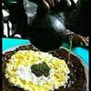 mengistuniguse847gmail.c