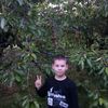 user7121888076880