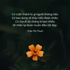 hyvongsong2019