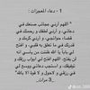 user481797437