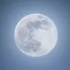 lowkey_gliding