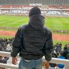 kodok_kurapp
