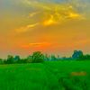 sab.mughal313