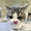 divya_honee