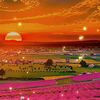 ghazi.abbas5