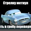 shark_alpidr