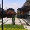 saida3775