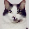 spekless9dfvf