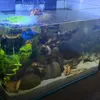 aqua_nano