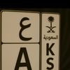 لـوسكار🦇: