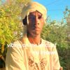 hasiel553