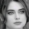 2mirna_
