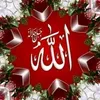 muhamadshakr744