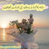 alaa32119