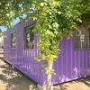 daniela.container