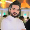 si_fe313