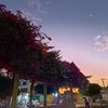 emersonbustamante88
