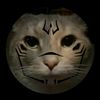 sukunacat15