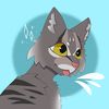 sp1dezcat